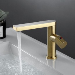 Brushed Gold Bathroom Sink...